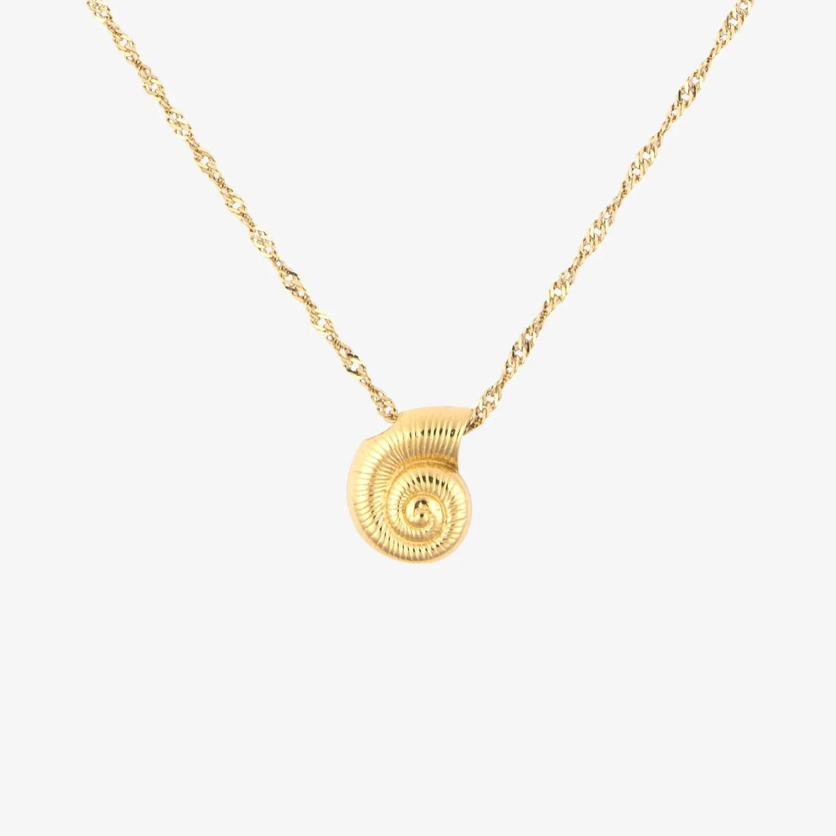 Seashell Pendant Necklace