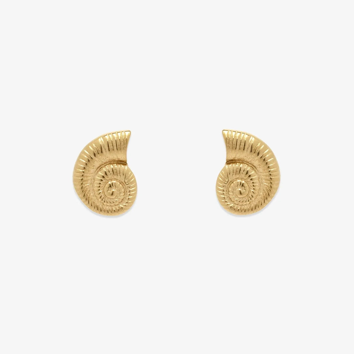 Seashell Stud Earrings
